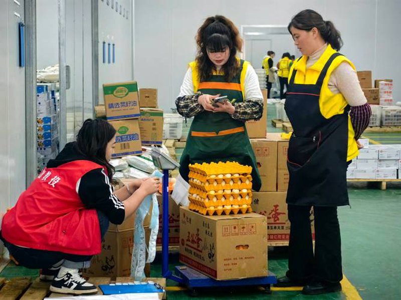 肉类配送行业的成功案例分析